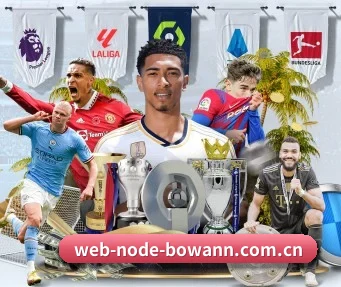 web-node-bowann.com.cn APP